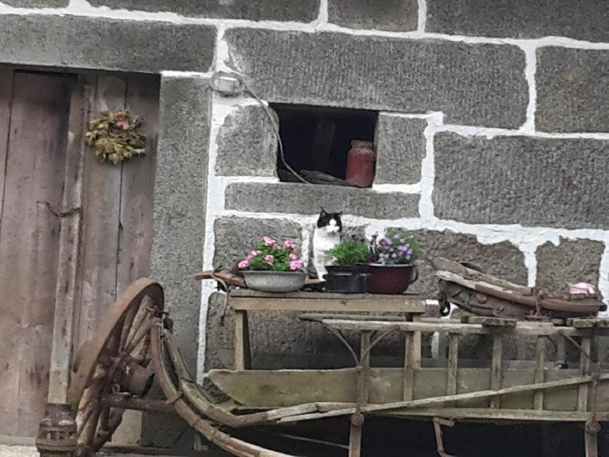 Ferienwohnung Landurlaub bei Familie Haug Freyung Exterior foto