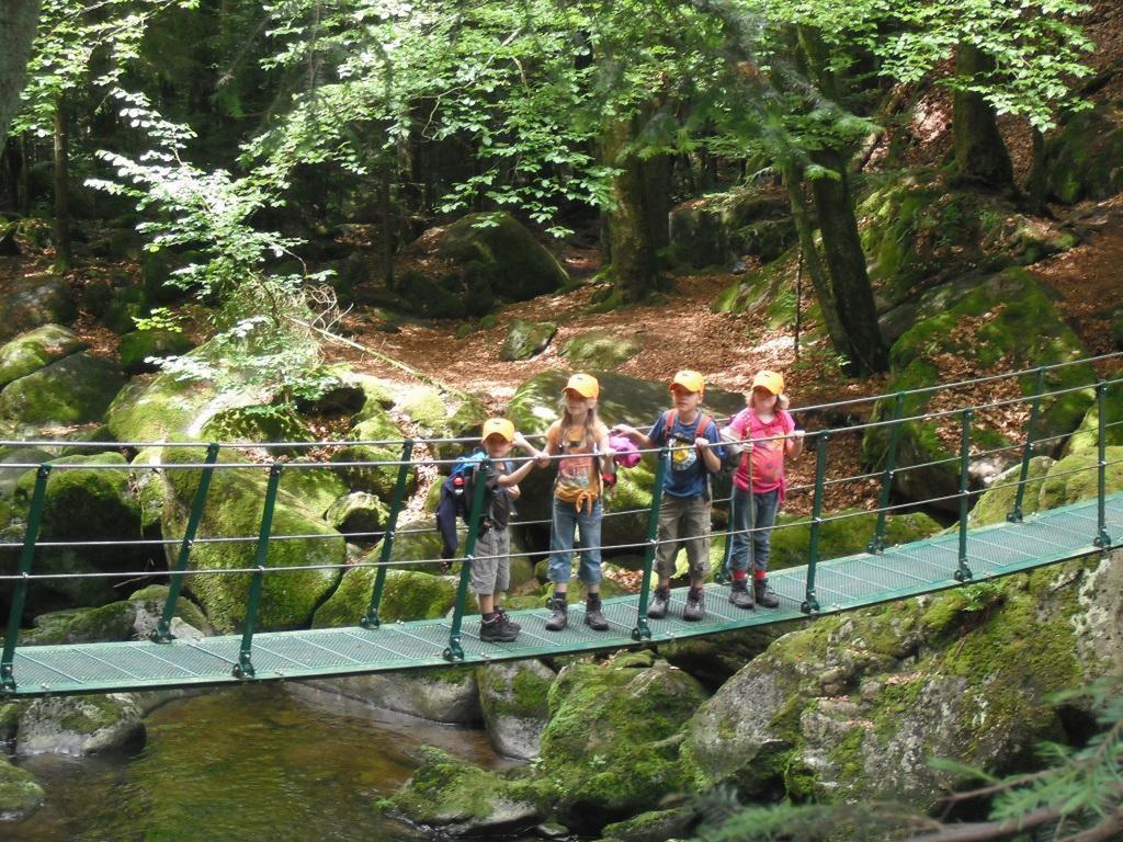 Ferienwohnung Landurlaub bei Familie Haug Freyung Exterior foto